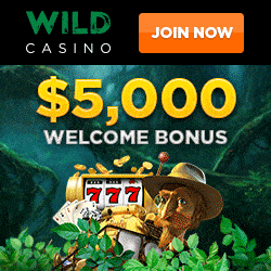 Wild Casino Bonus And Review