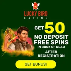 SuperCat Casino Bonus And Review