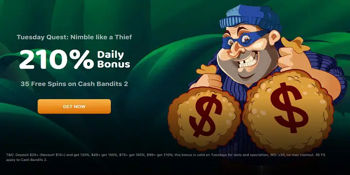 Lucky Tiger Casino promotion
