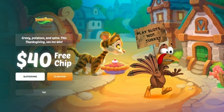 Lucky Tiger Casino Promotion