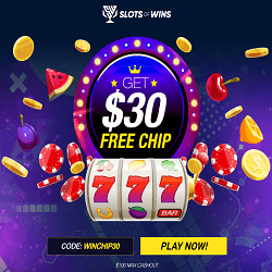 SlotsOfWins Casino  Bonus And Review