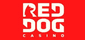 Red Dog